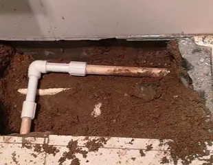 新邵测漏水哪家好