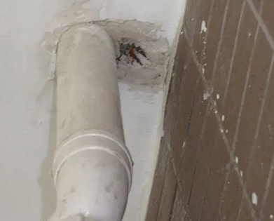 新邵漏水检测哪家好